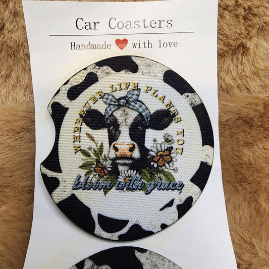 Cow Car Coaster